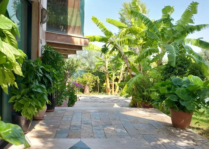 Hotel Different Divjake